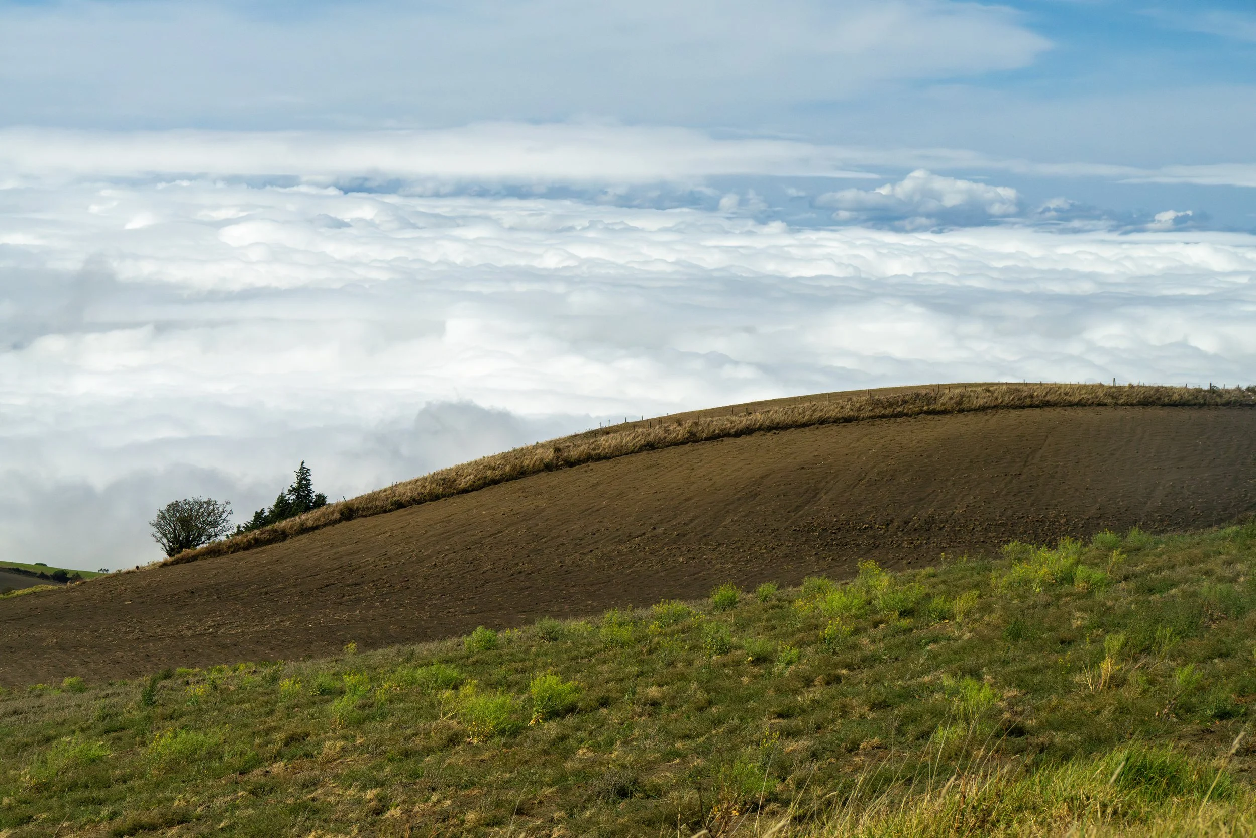 Die Fahrt auf den Vulkan Irazú führt durch wechselnde Vegetationszonen bis über die Wolken auf über 3.400 Meter Höhe. Als höchster aktiver Vulkan Costa Ricas bietet er eindrucksvolle Ausblicke über das Hochland.