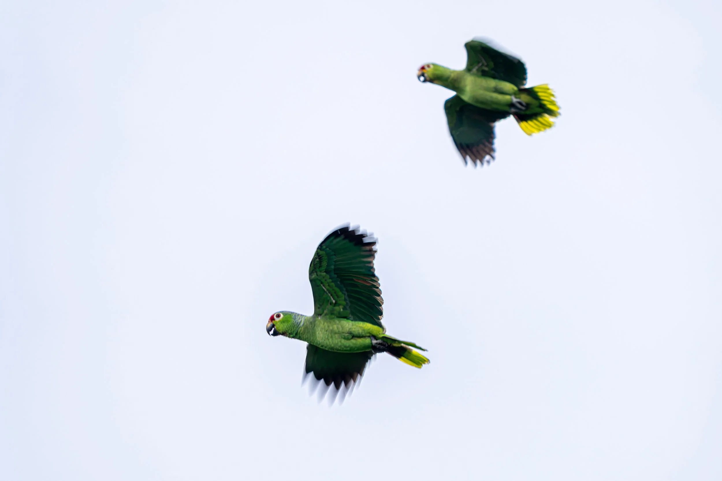 _7R54454-2.jpg