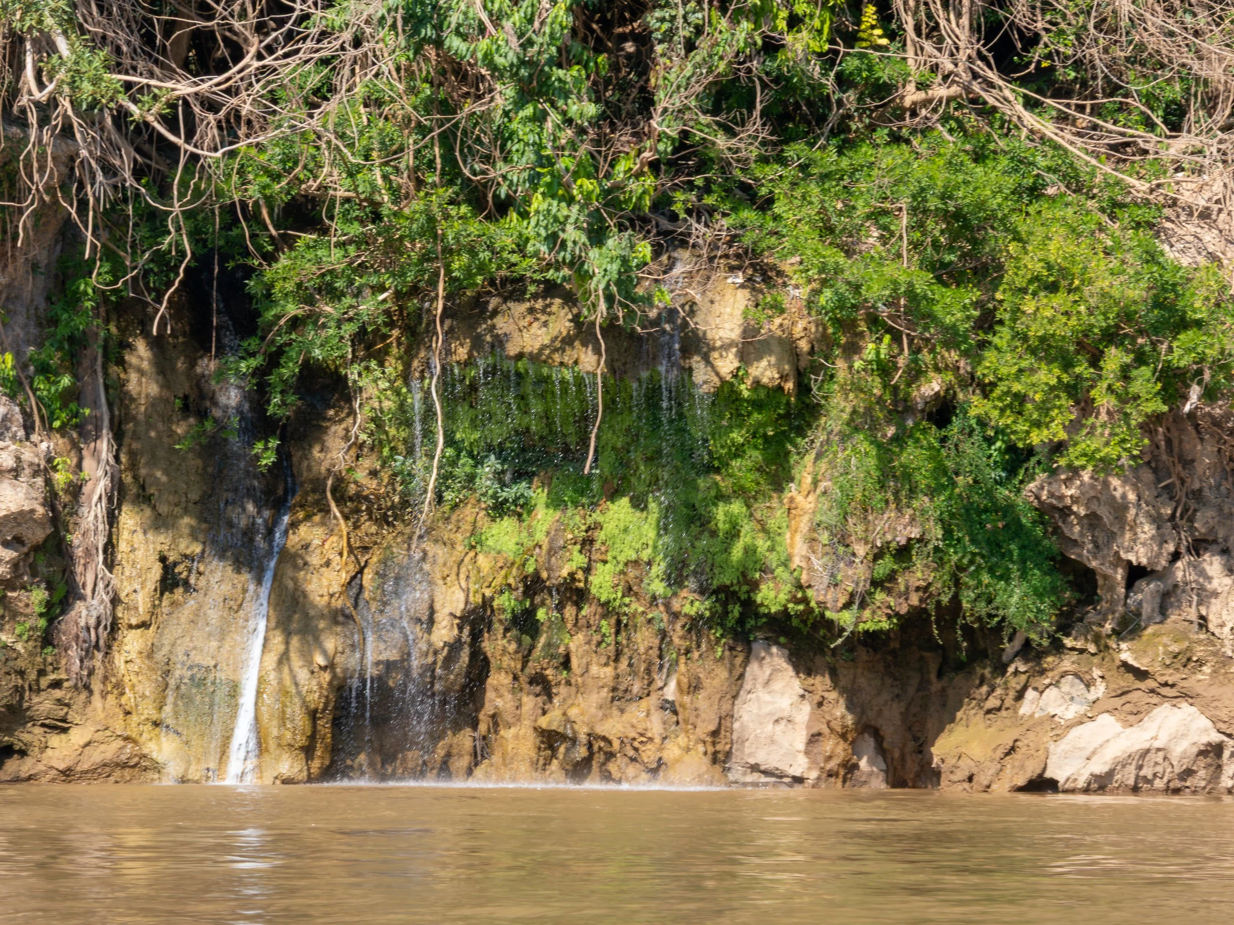 Dichte Uferwälder reichen oft bis direkt ans Wasser und verleihen der Szenerie eine fast unberührte Wirkung.