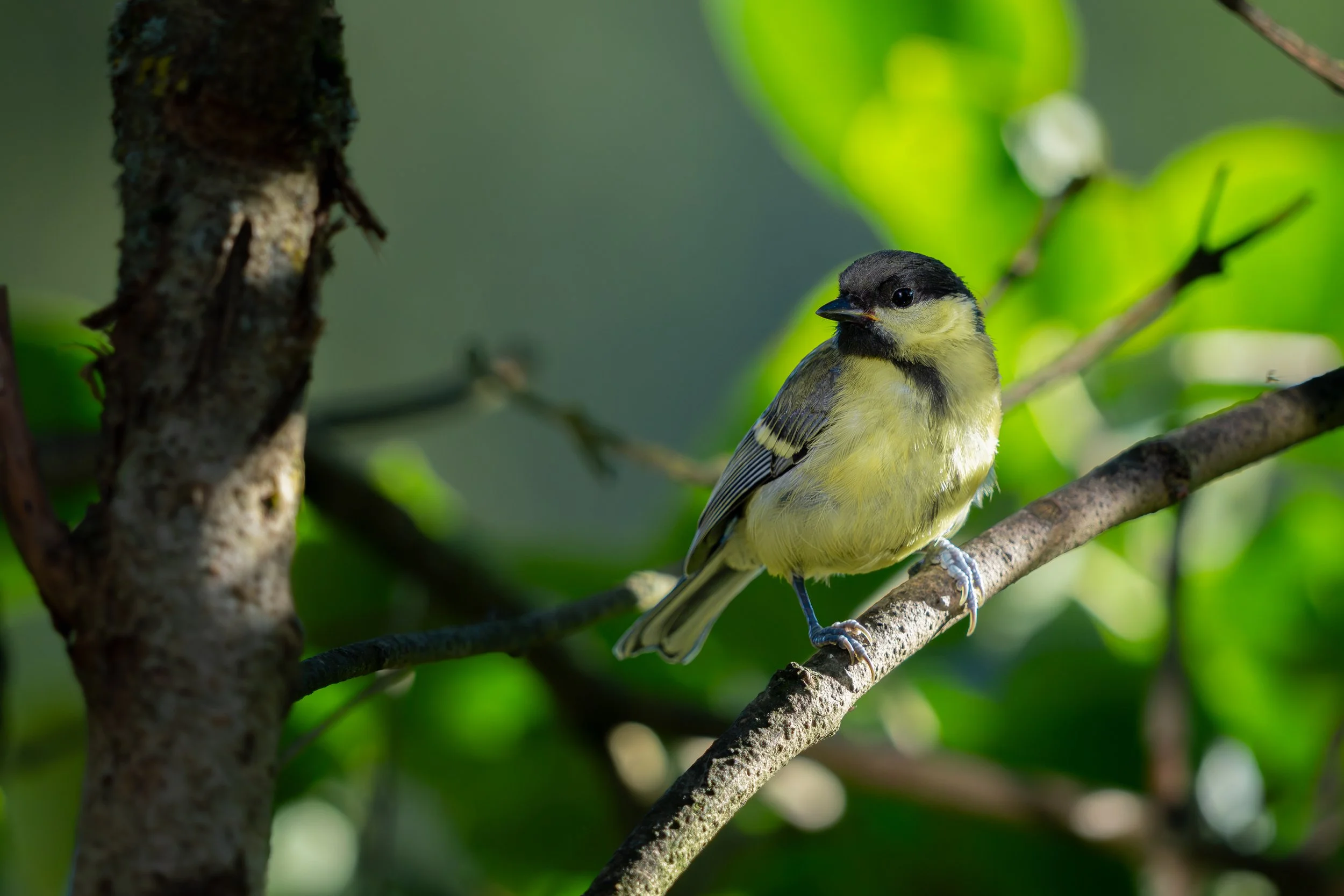 _7R53409-2.JPG