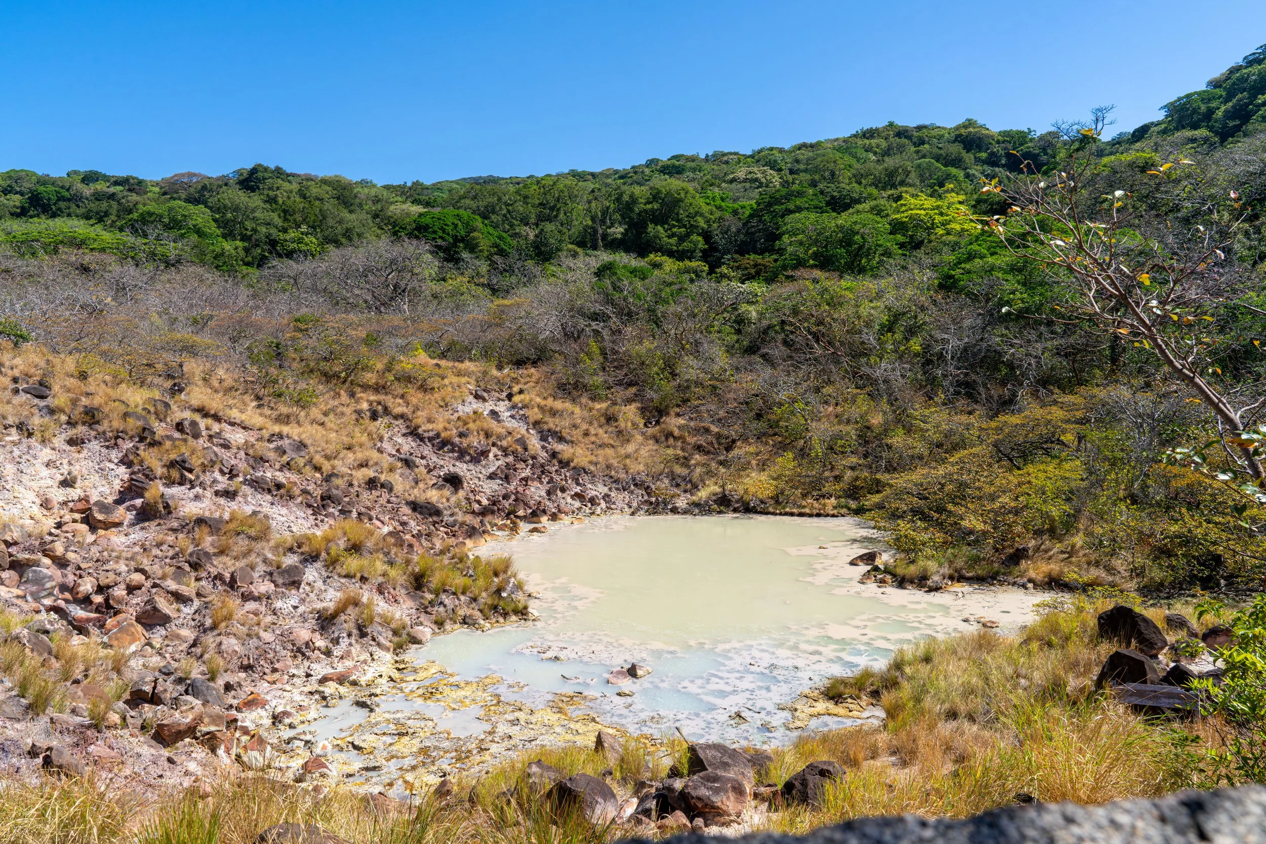Ein warmer, gelblich gefärbter Teich im vulkanischen Gebiet entsteht durch mineralreiches Wasser, in dem gelöste Schwefel- und Eisenverbindungen die charakteristische Farbe und erhöhte Temperatur verursachen.