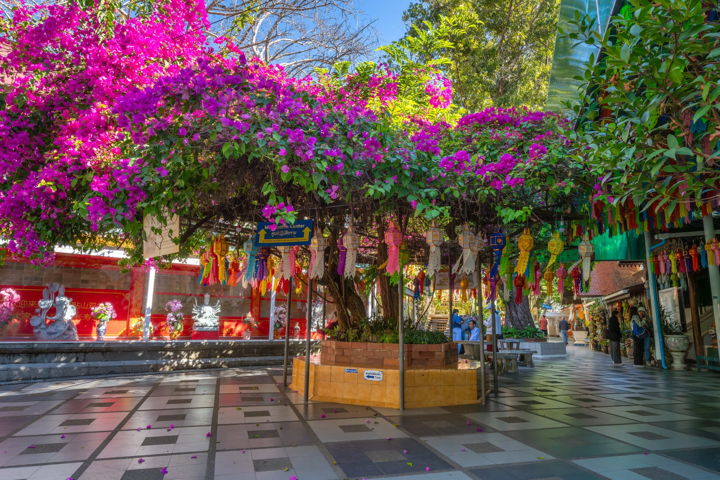 Blumen spielen im Buddhismus eine wichtige Rolle als Zeichen der Vergänglichkeit und werden von Gläubigen als Opfergabe dargebracht. Die liebevoll geschmückten Höfe unterstreichen die ruhige, andächtige Atmosphäre des Tempels.