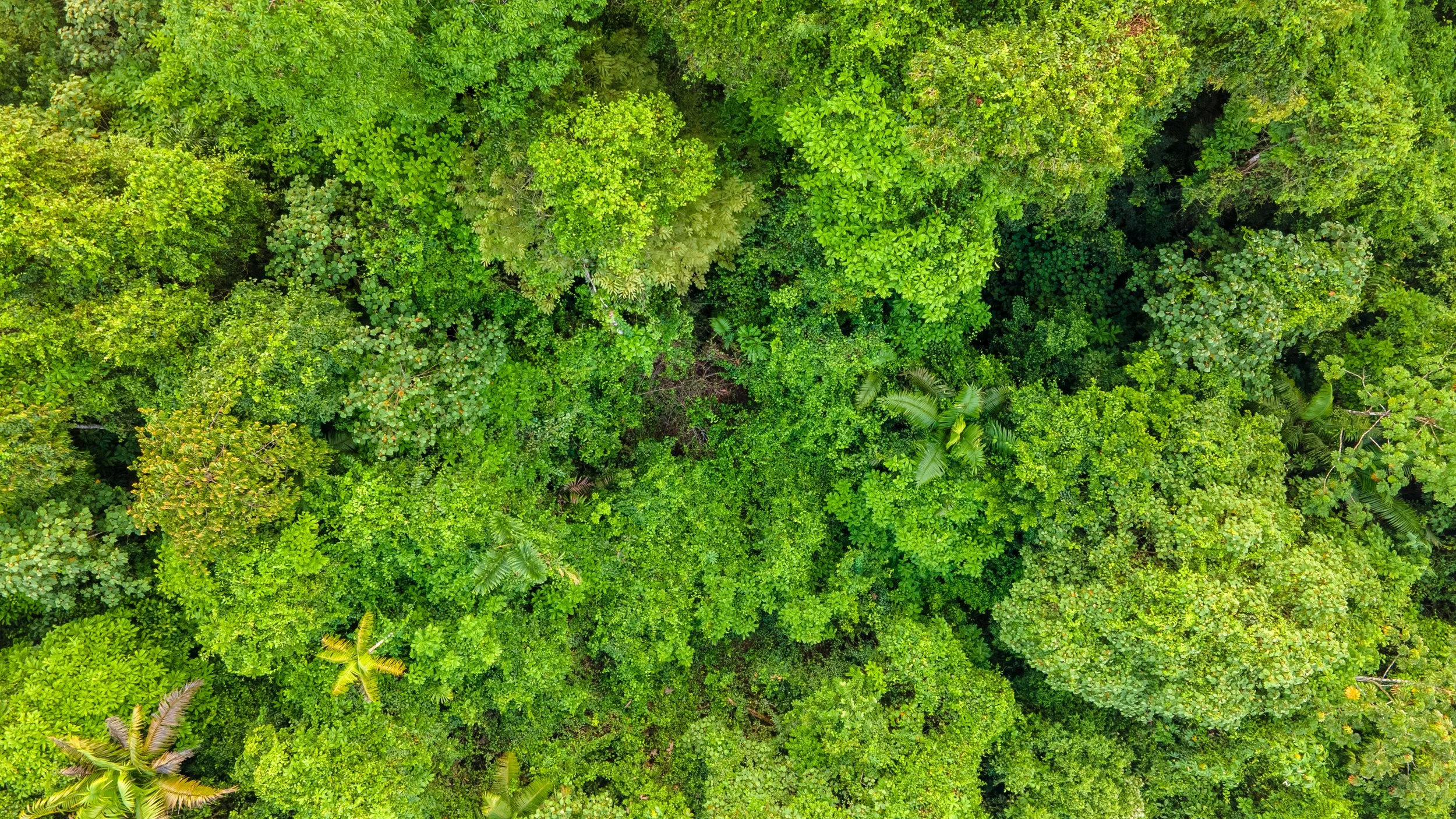Die Region gilt als wichtiges Rückzugsgebiet für zahlreiche Tierarten und ist besonders bekannt für ihre große Vogelvielfalt.