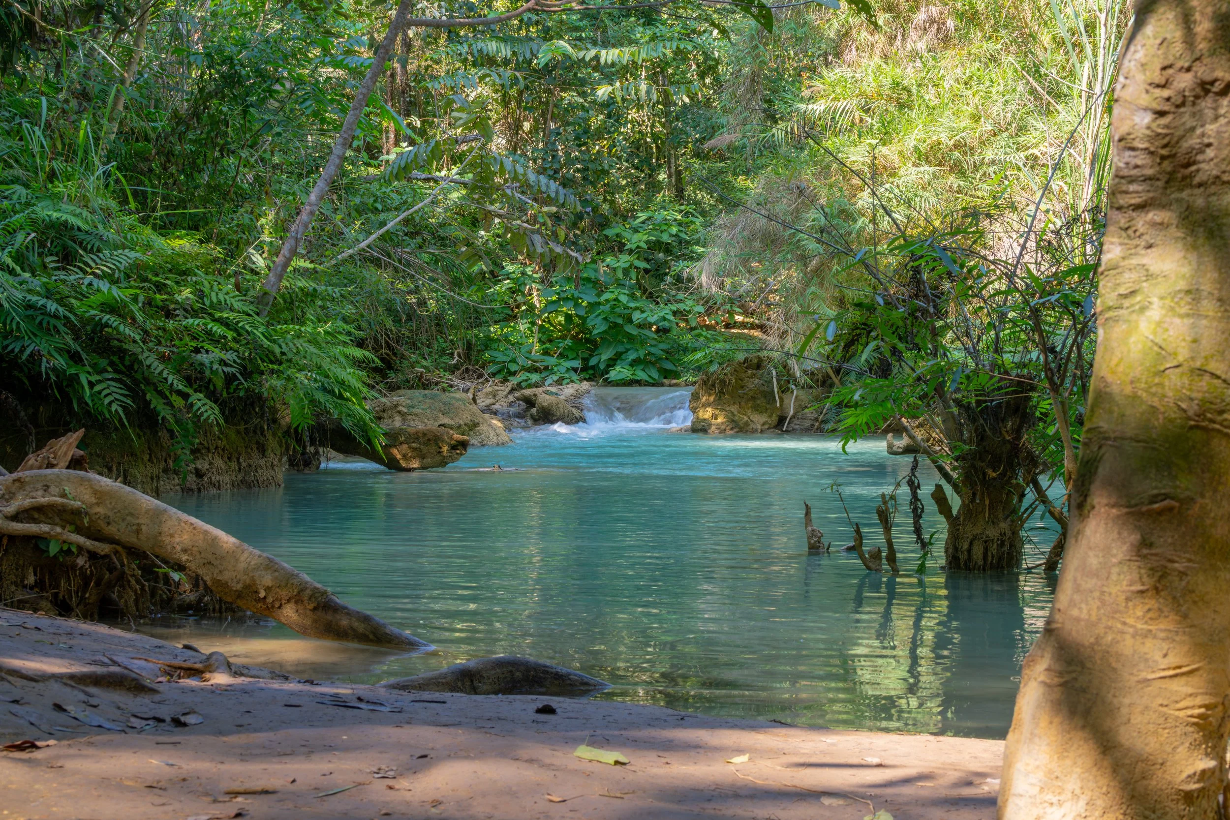 Die Kuang-Si-Wasserfälle zählen zu den bekanntesten Naturattraktionen bei Luang Prabang und sind für ihre intensiv türkisfarbenen Becken berühmt.