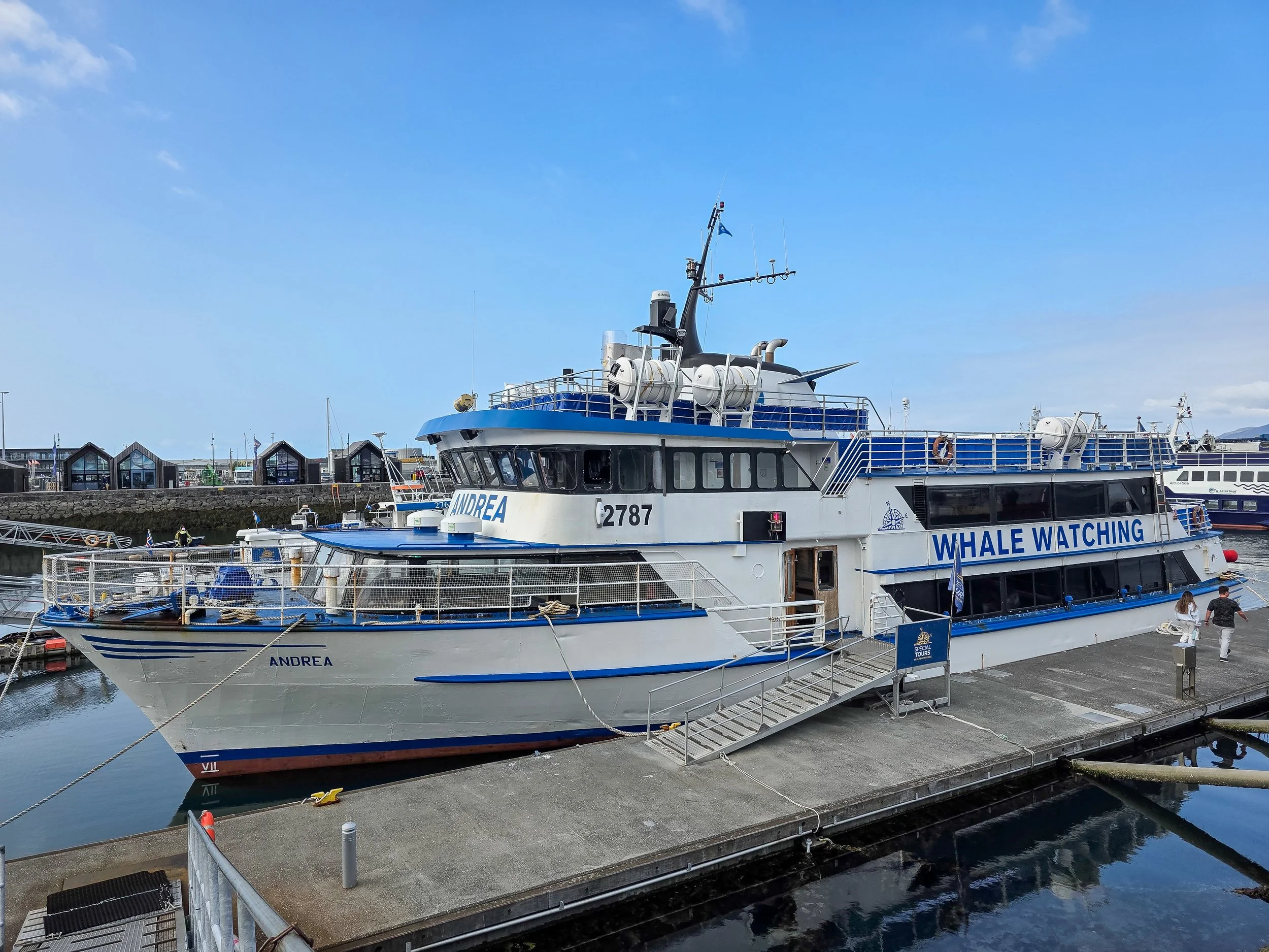 Auf dem Atlantik vor Reykjaviks Küste starten regelmäßig Touren, bei denen Besucher Wale, Delfine und andere Meerestiere in ihrem natürlichen Lebensraum beobachten können.