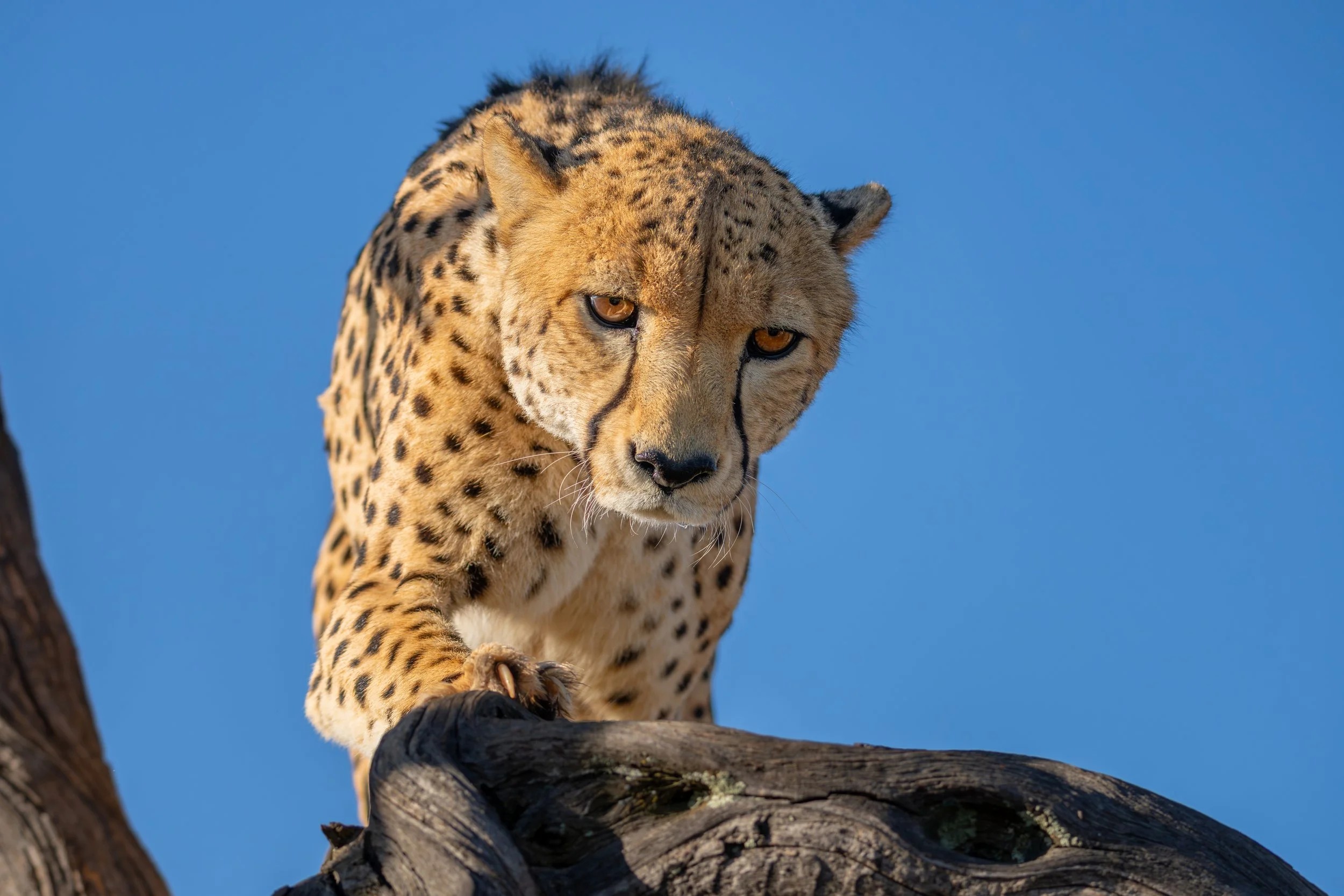 _7R50558.JPG