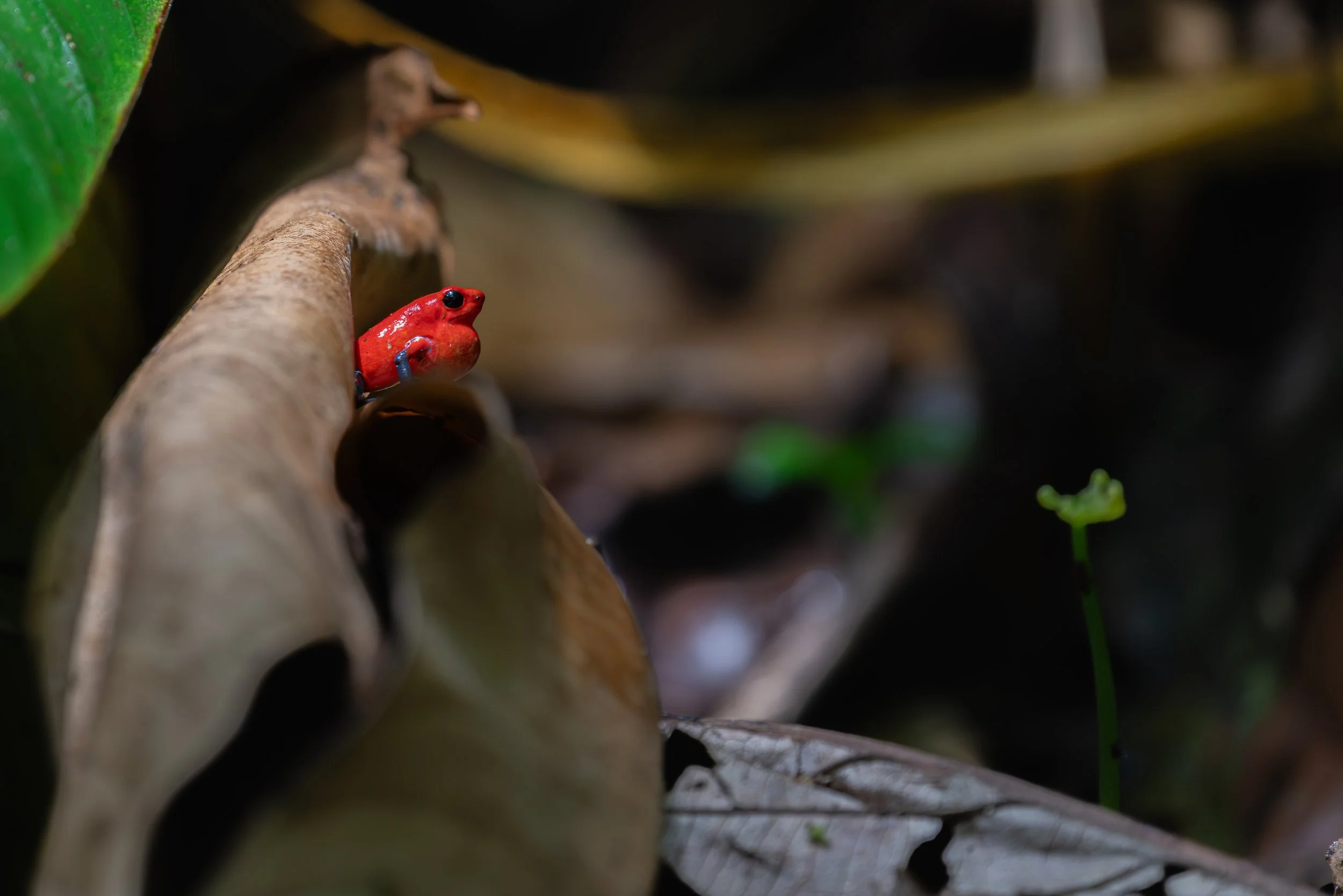 DSC04988.jpg