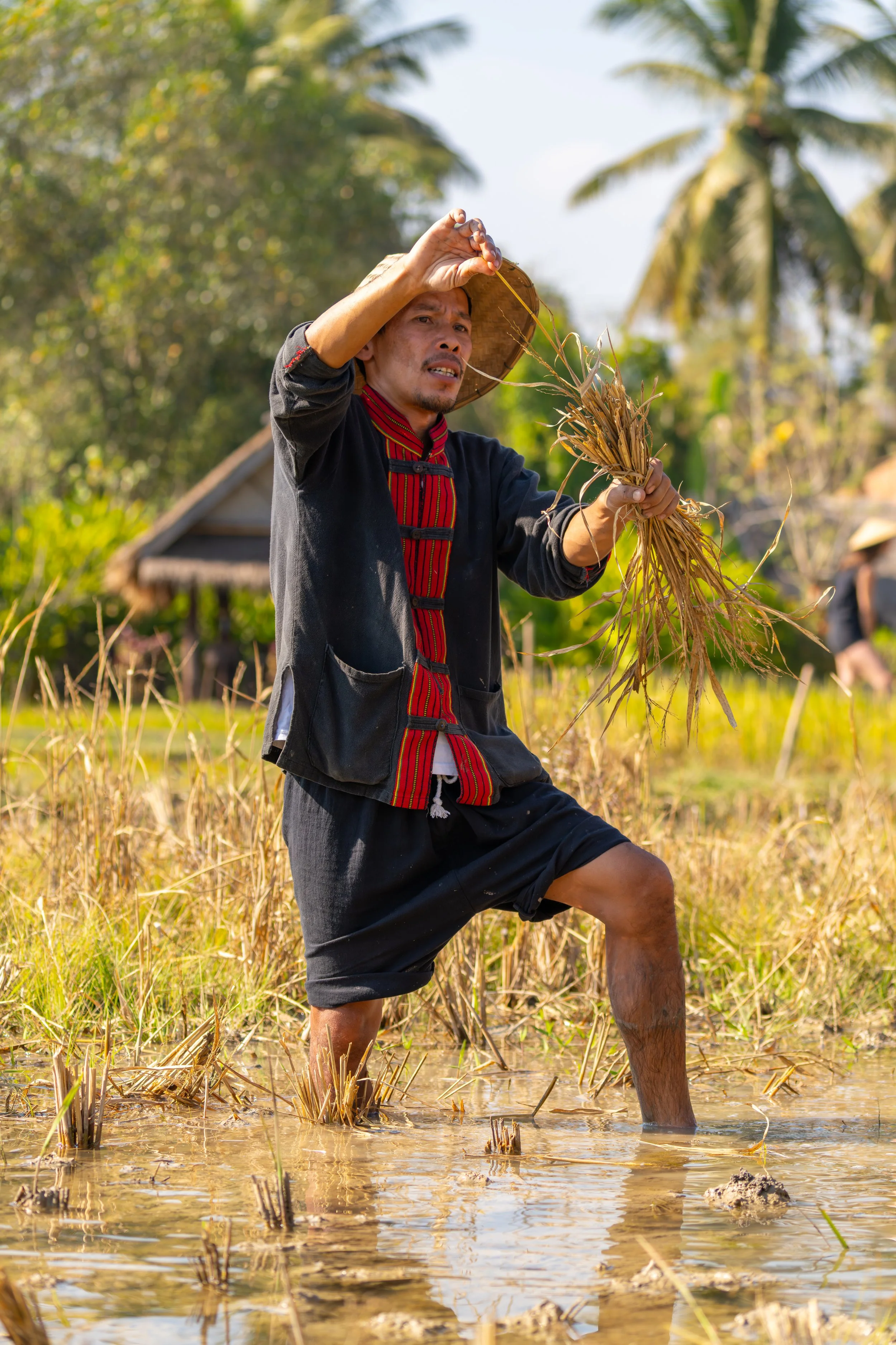 Terrassen und flache Ebenen werden gleichermaßen genutzt, um den verfügbaren Raum optimal zu bewirtschaften.