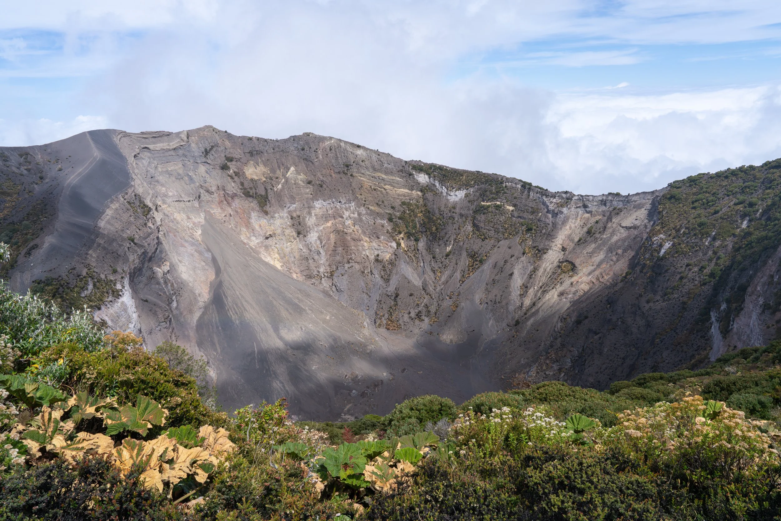 Die dünne Luft und das raue Klima schaffen Bedingungen, in denen nur spezialisierte Pflanzen überleben.
