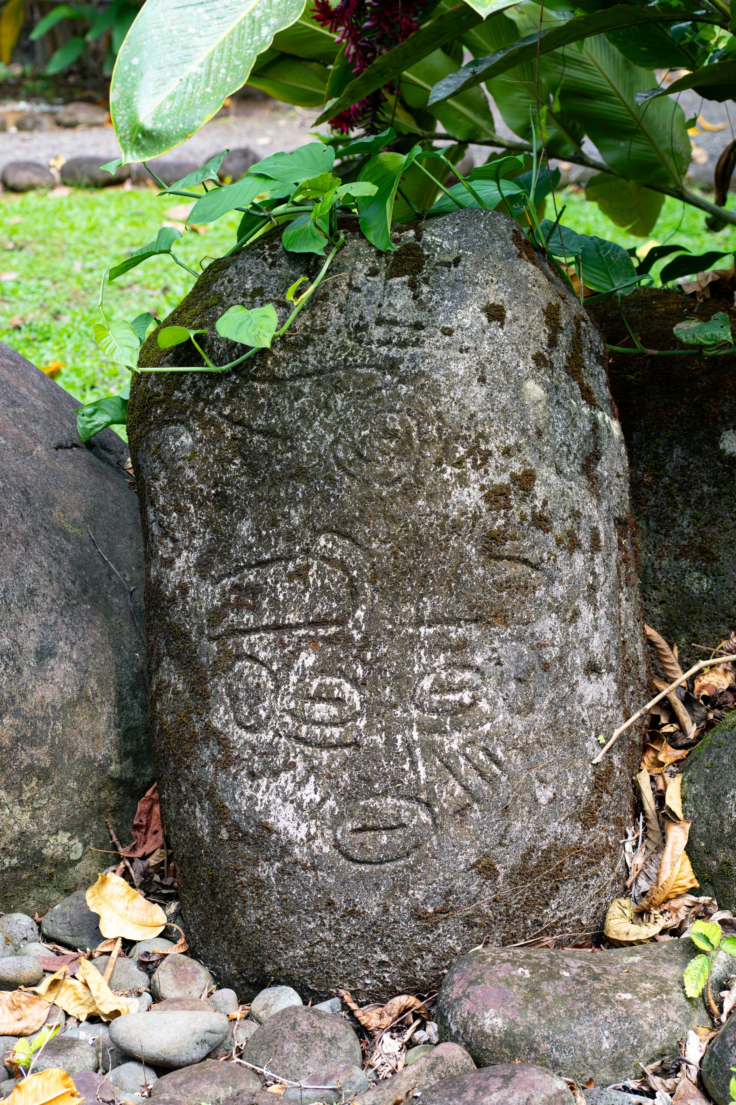 Petroglyphen wurden von präkolumbianischen Kulturen direkt in vulkanisches Gestein eingeritzt und zeigen oft symbolische Muster, Tiere oder spirituelle Darstellungen.