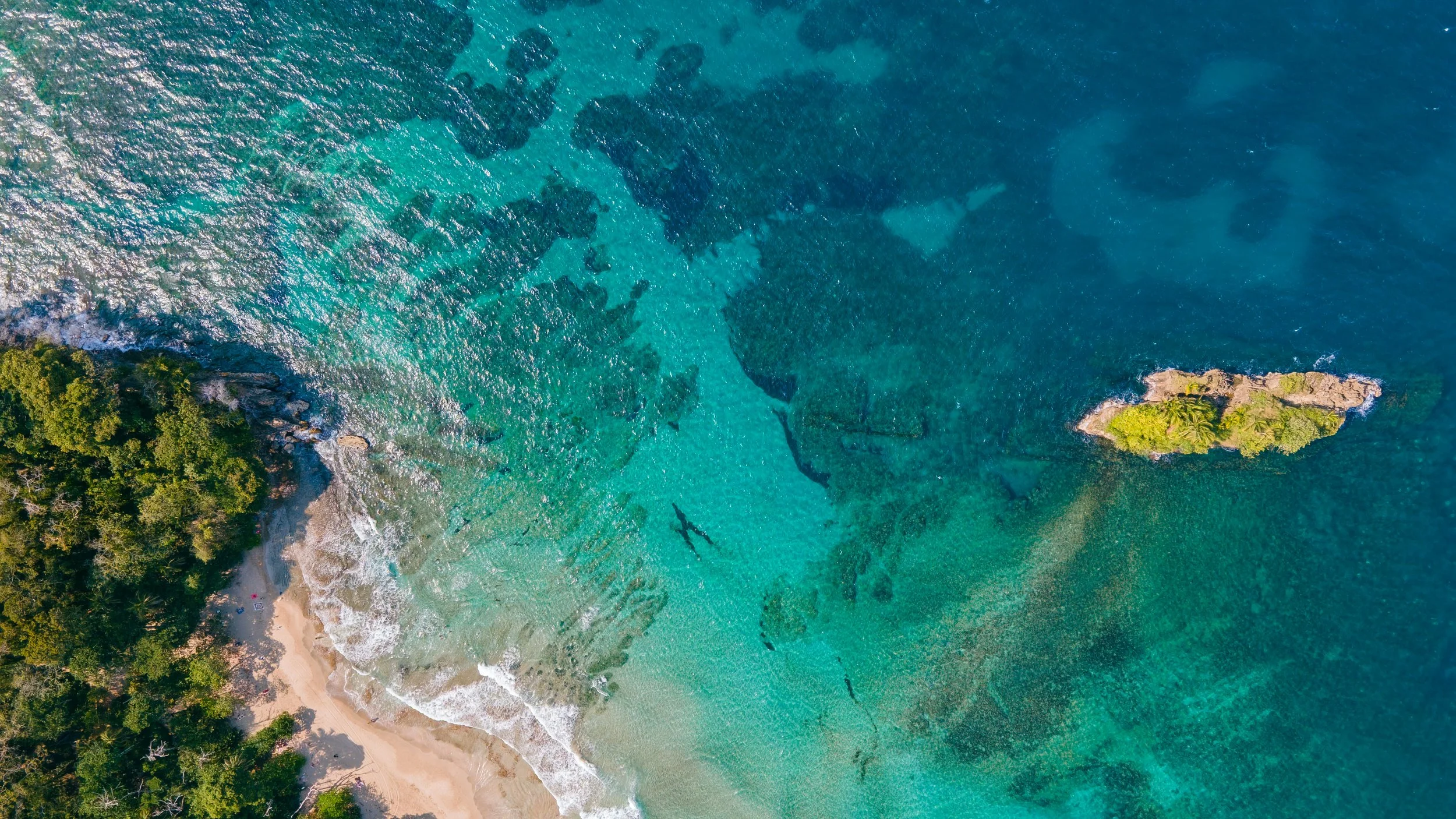 Vor der Küste von Gandoca-Manzanillo liegen empfindliche Korallen- und Seegrasgebiete, die als wichtige Lebensräume für Meeresschildkröten und viele Fischarten dienen.