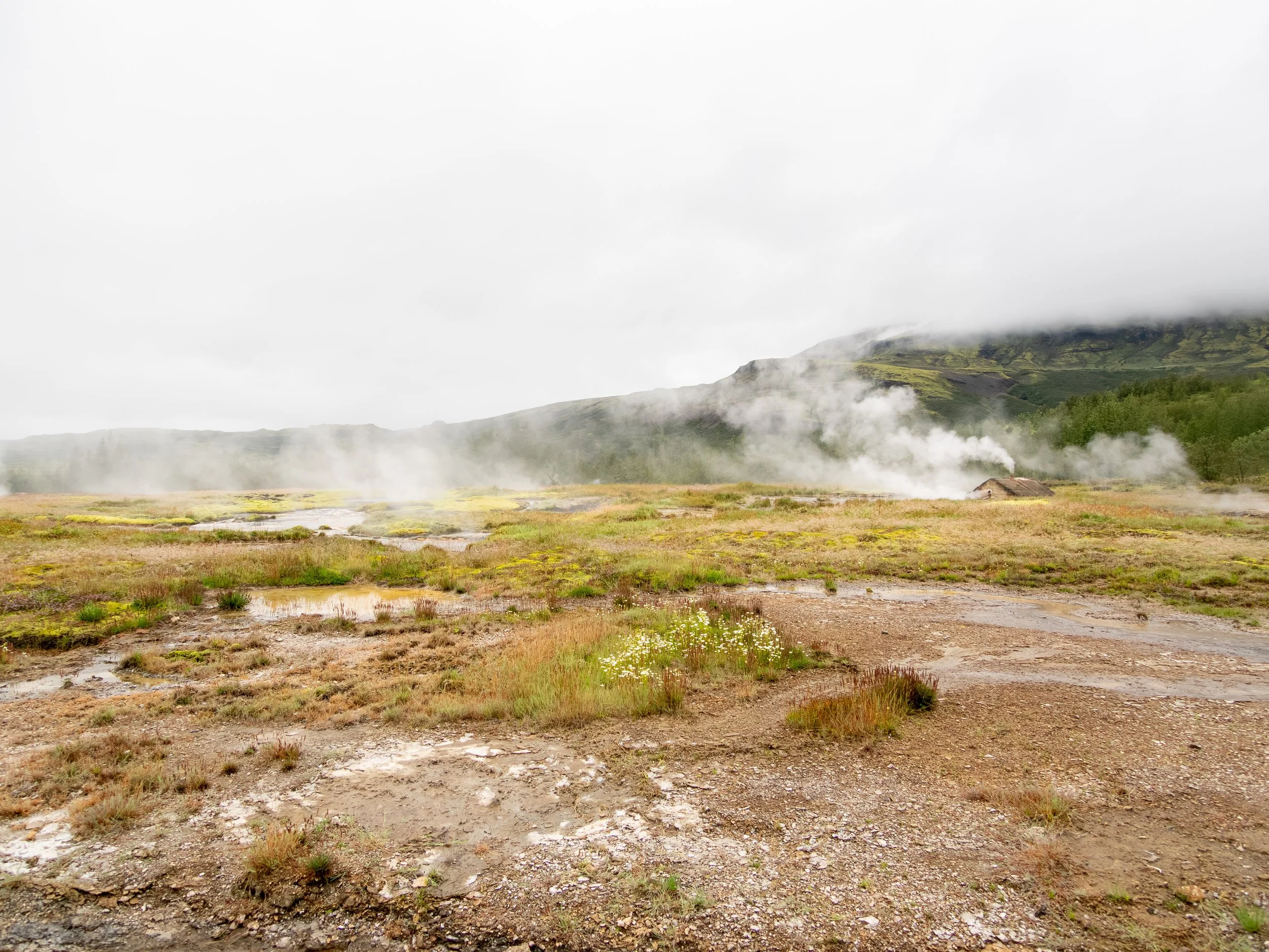 Haukadalur ist ein geothermisches Tal im Golden Circle, in dem heiße Quellen, brodelnde Schlammbecken und dampfende Erdstellen die vulkanische Aktivität Islands eindrucksvoll sichtbar machen.