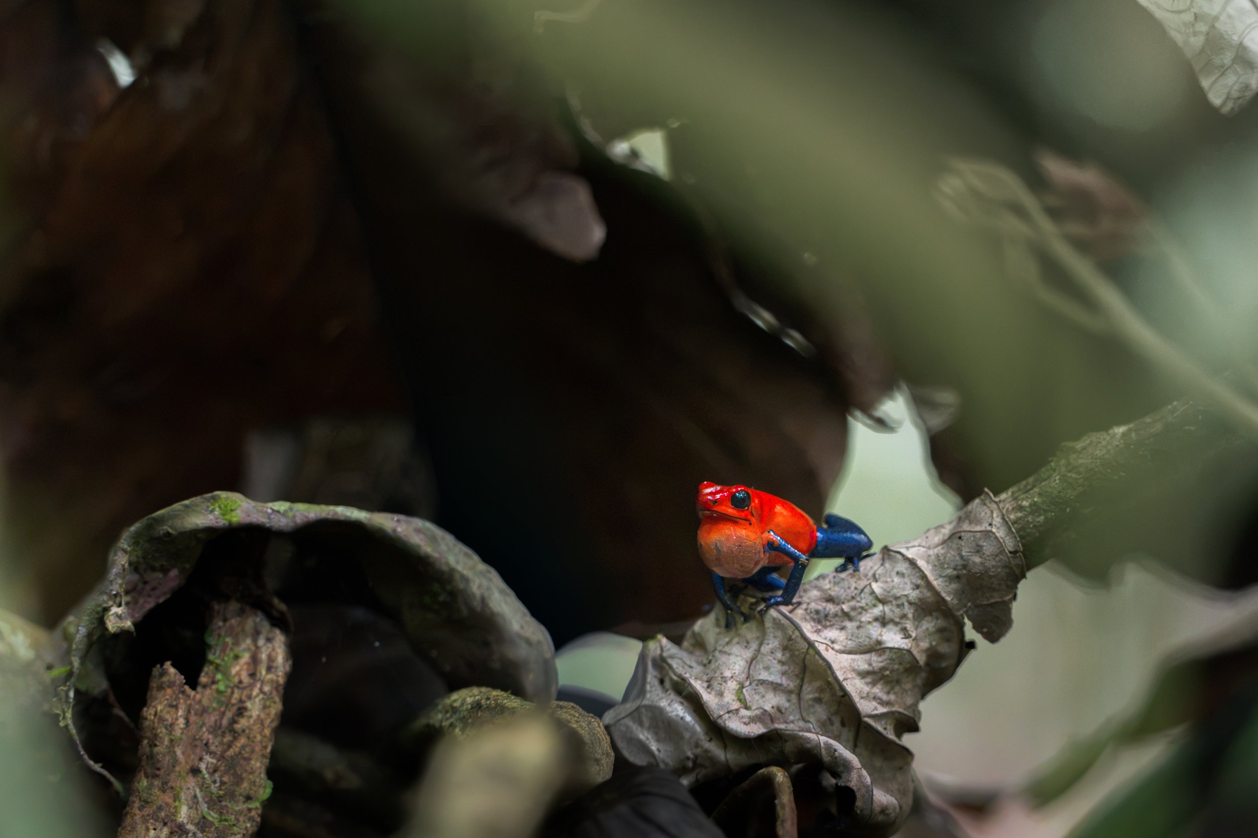 _7R52481.jpg