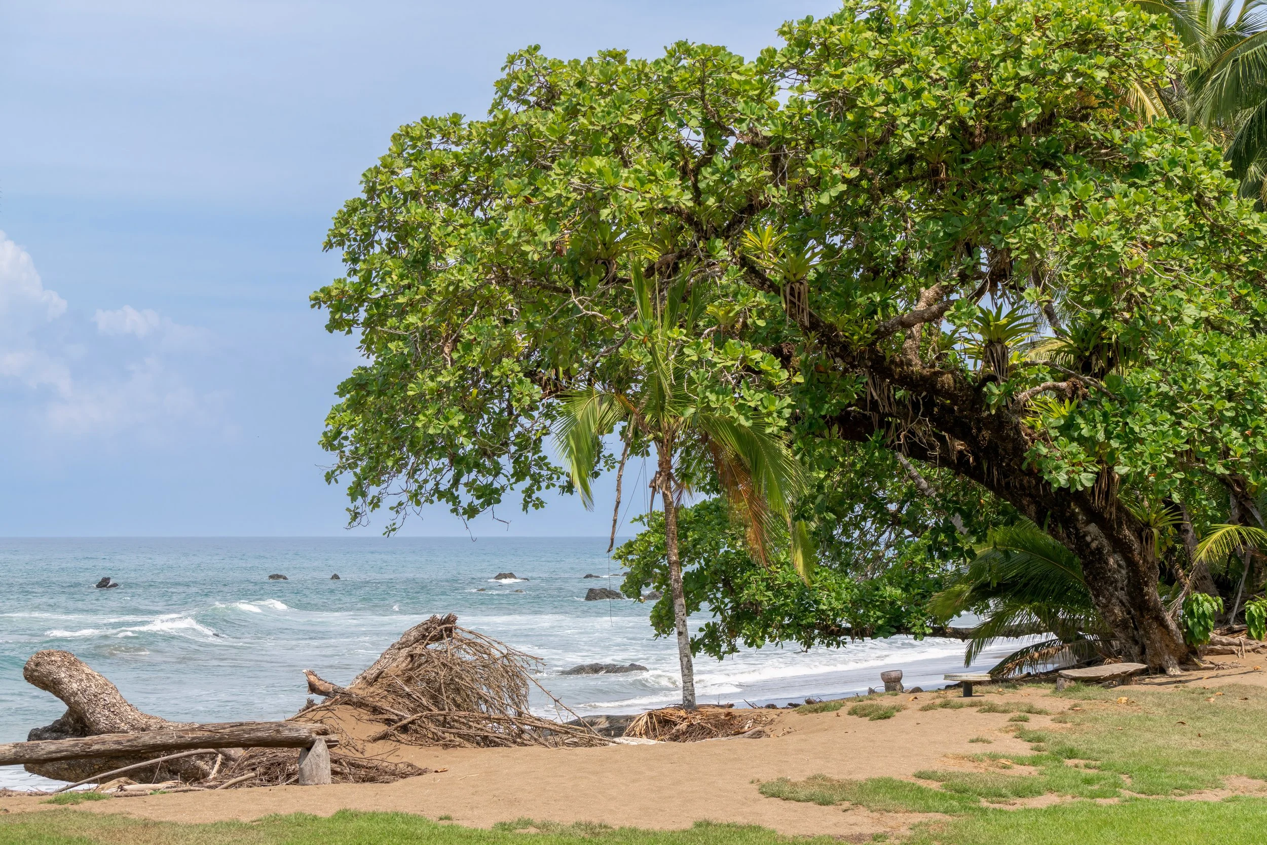 Der Corcovado-Nationalpark schützt einen der größten zusammenhängenden Tieflandregenwälder Mittelamerikas und gilt als Hotspot der Biodiversität.