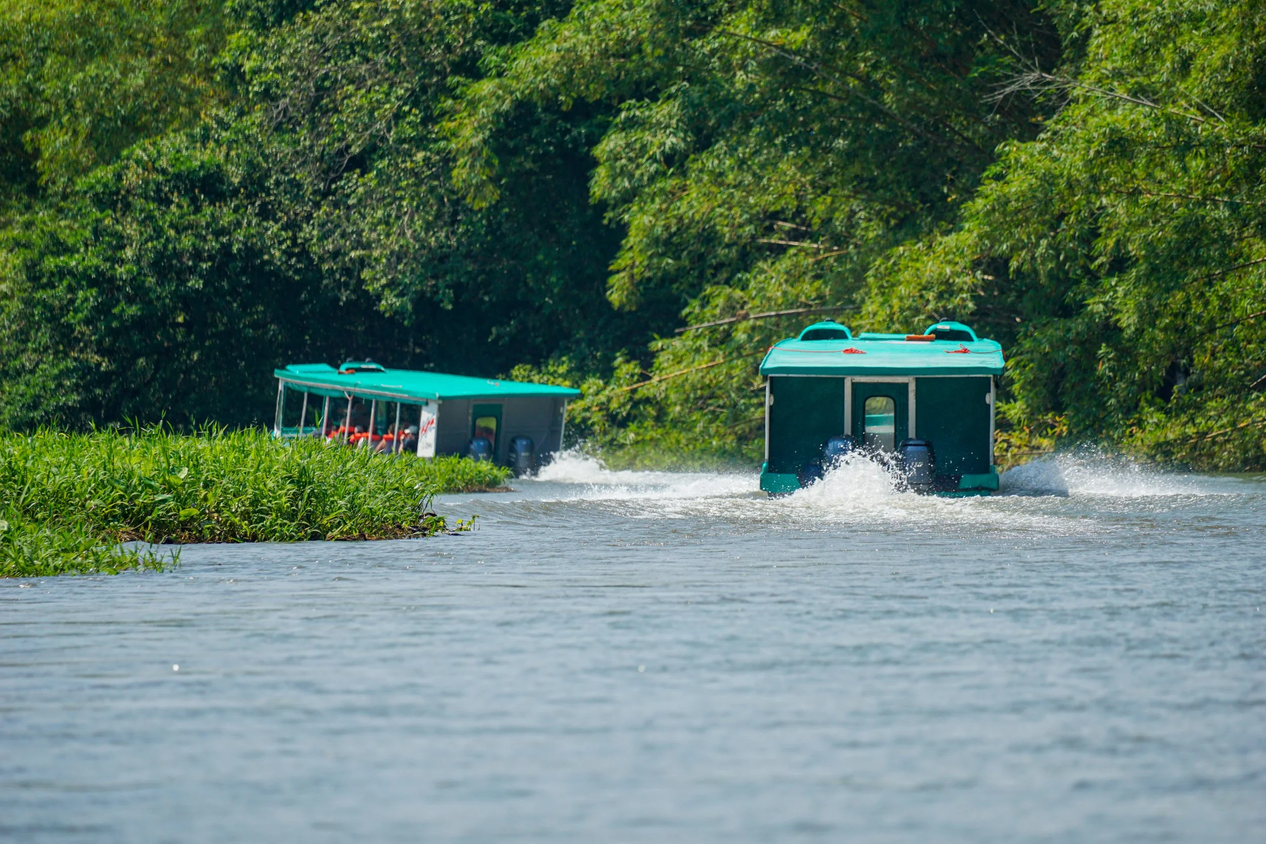 Tortuguero ist nur per Boot oder Flugzeug erreichbar, weshalb die Fahrt durch die schmalen Kanäle selbst bereits den Beginn des Regenwald-Erlebnisses bildet.