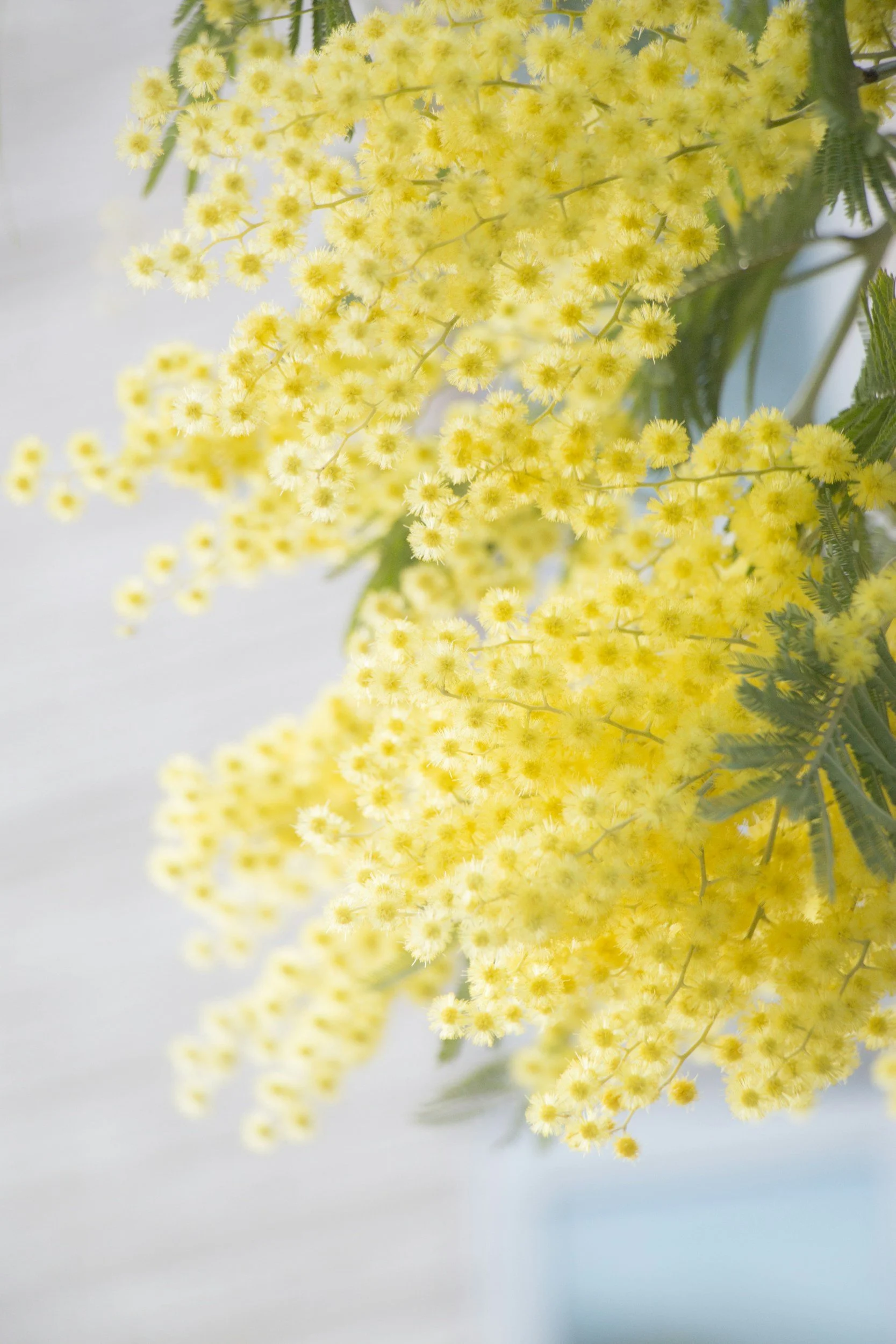 unsplash-image-MUPCSMPgh6k.jpg