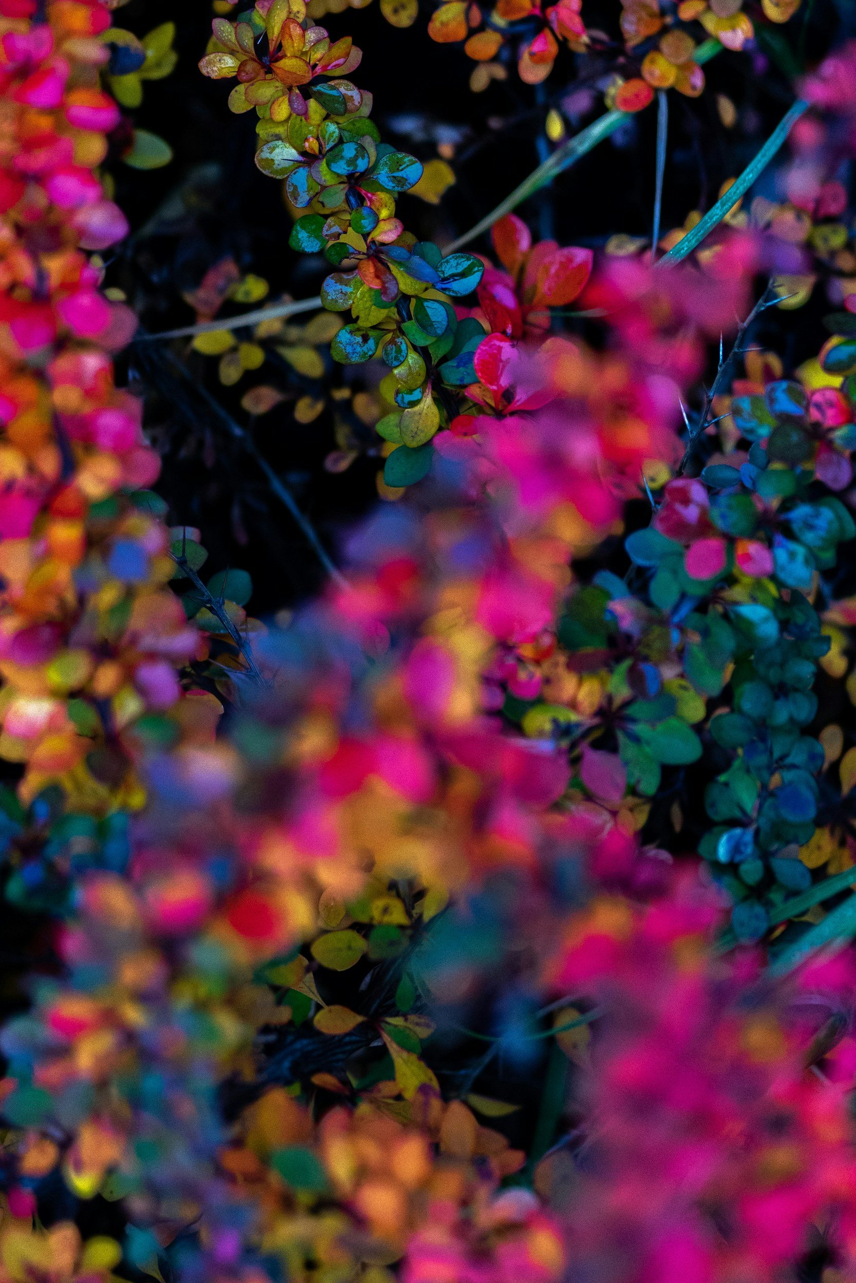 unsplash-image-TgOSWK4h2TE.jpg