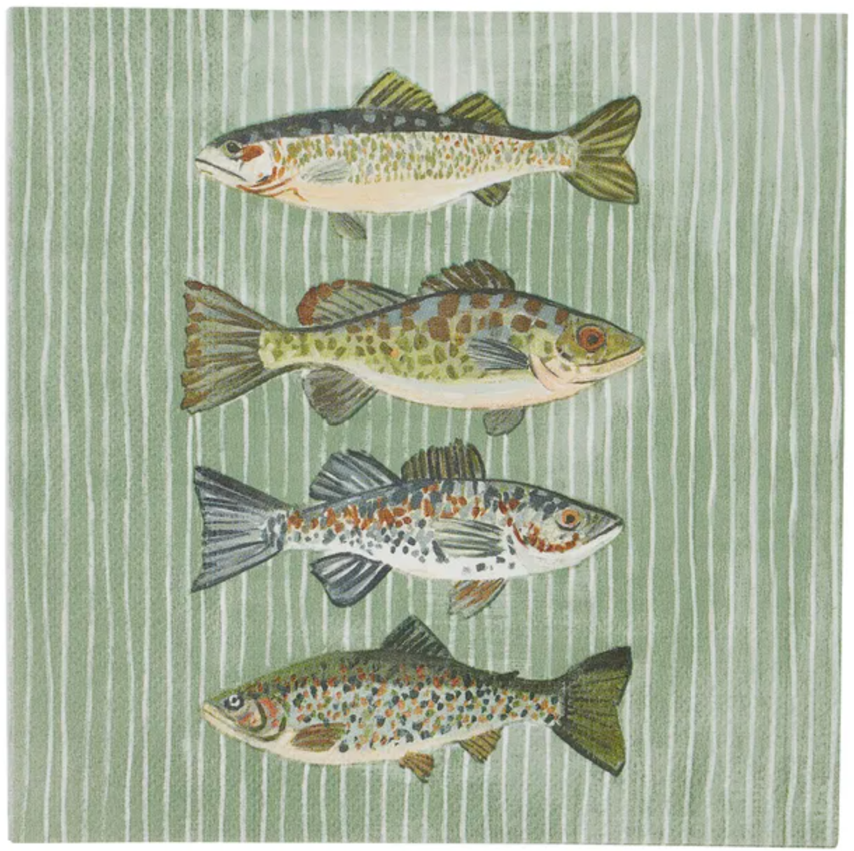 Fish Shad- Greens- Luncheon