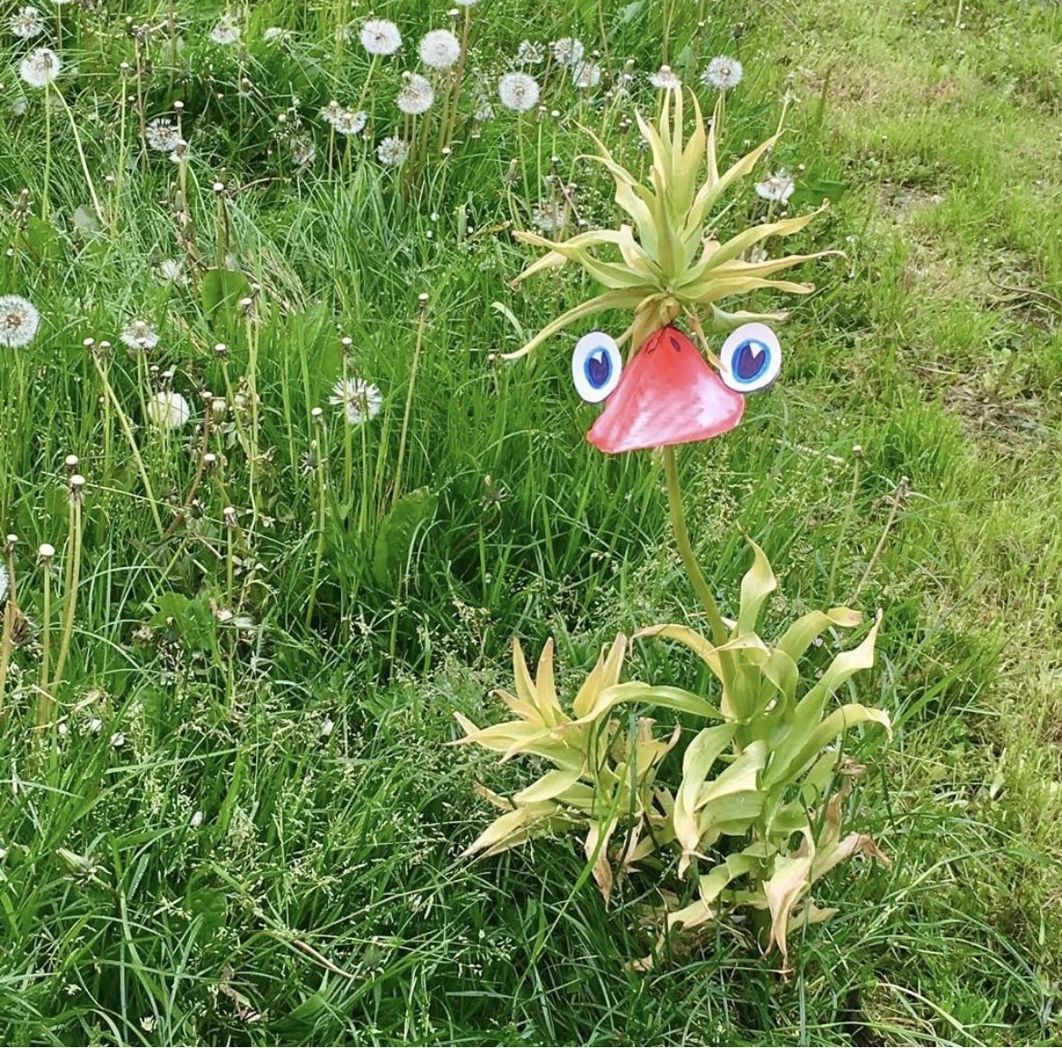 Pino 2018, keizerskroon, papier, acrylverf | VERGAAN