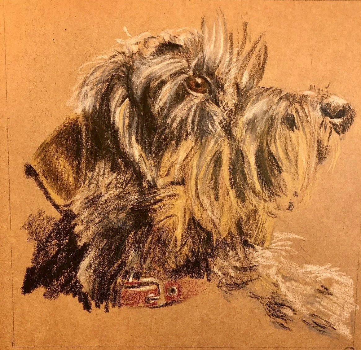 Sophie potlood op gekleurd papier 2019