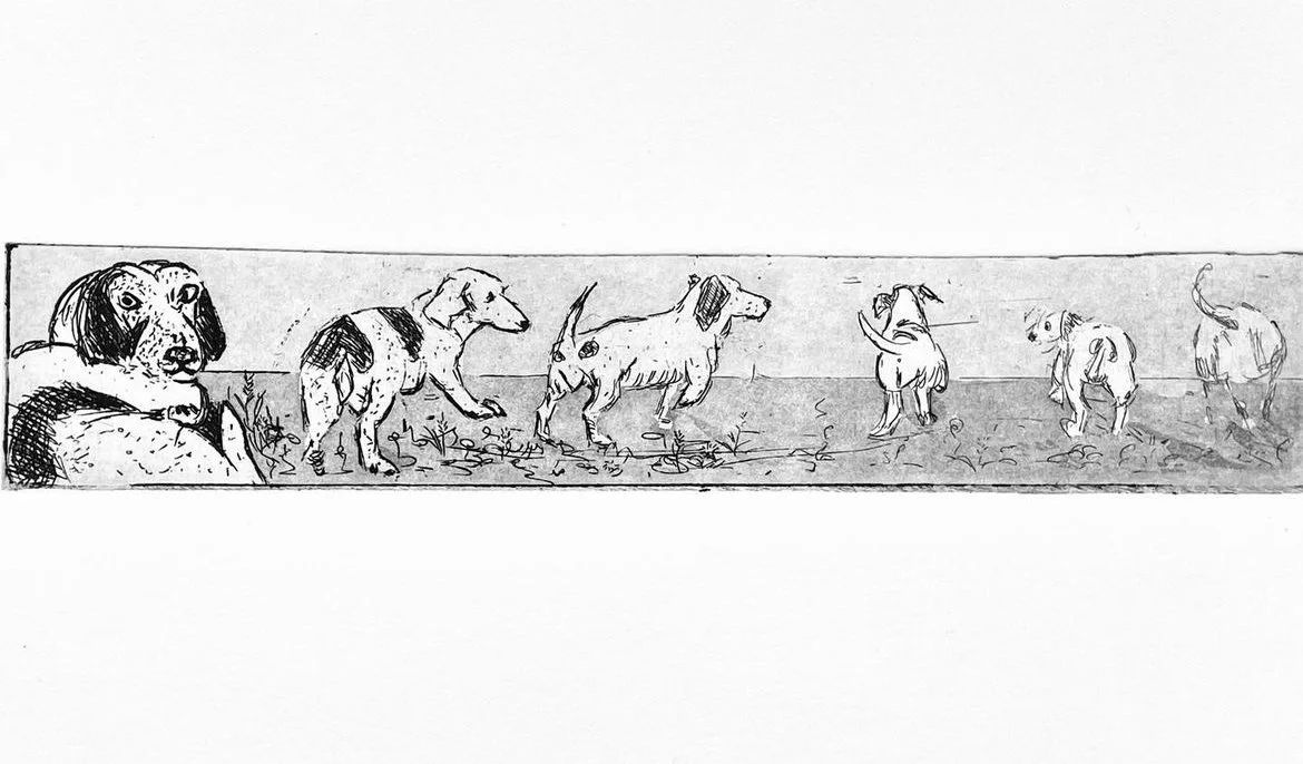 Tekkels, ets, 2x27cm 2024