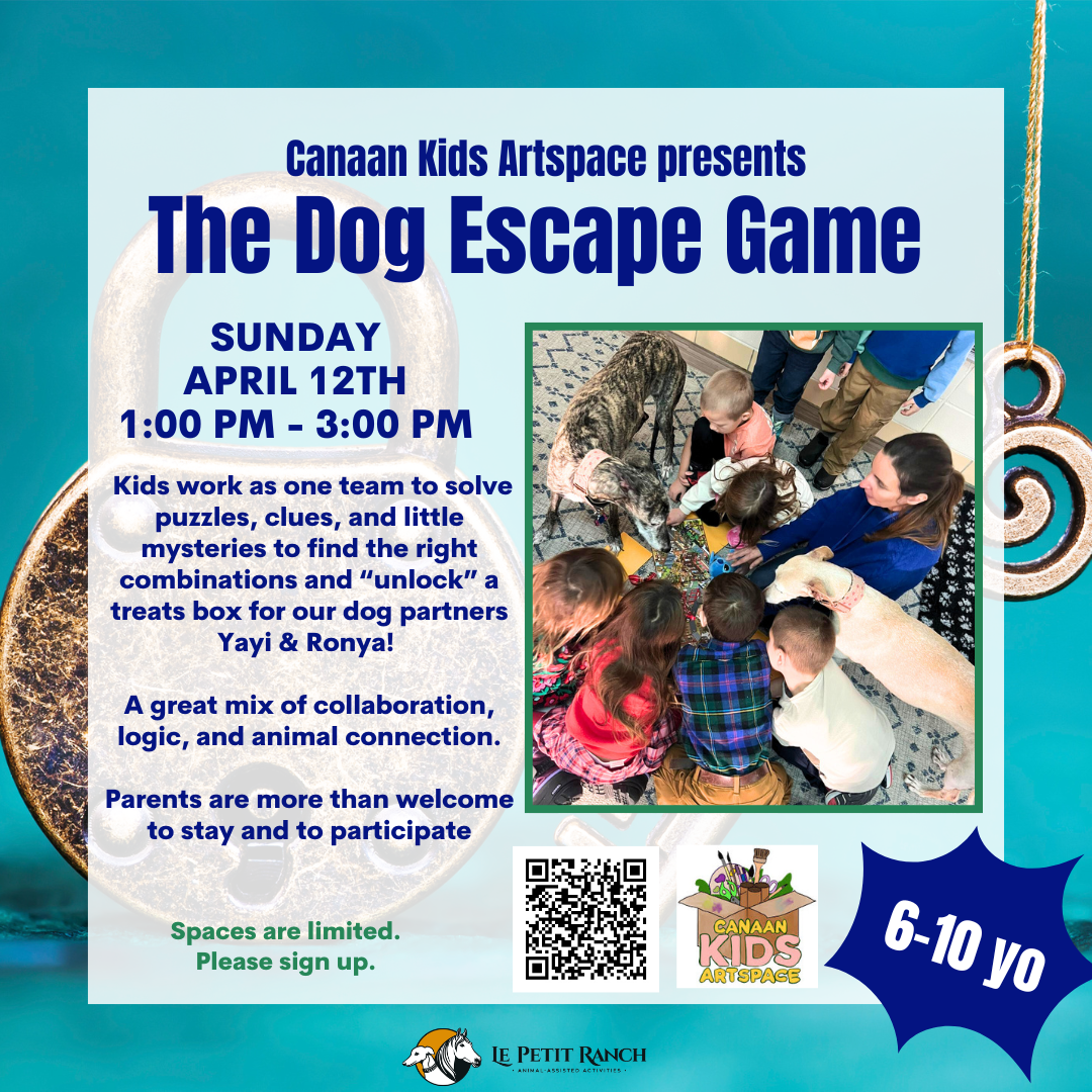 Dog Escape Game with Le Petit Ranch