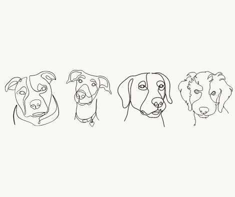 Strong energy dogs.