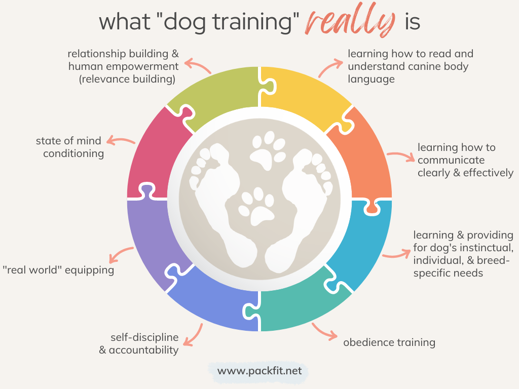 What “dog training” REALLY is.
