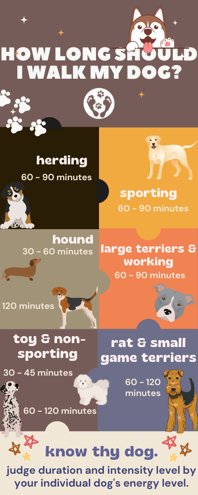 How long should I walk my dog?