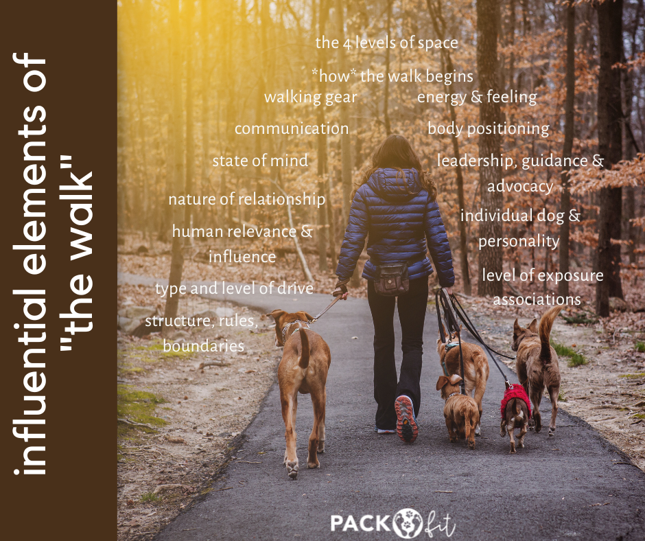 Influential Elements of “The Walk”