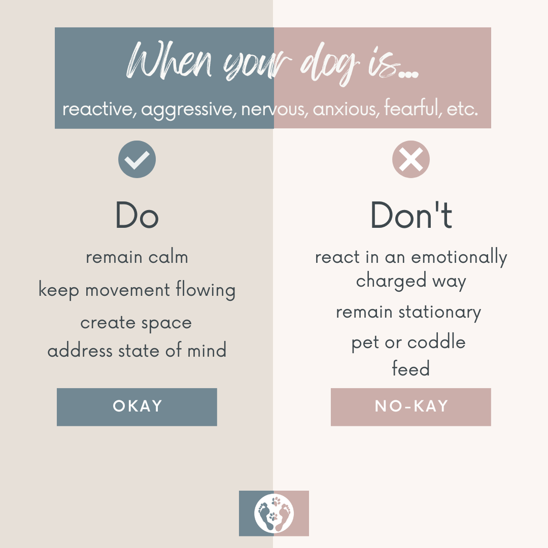 The Do’s and Do Nots of “Dog Dealing”