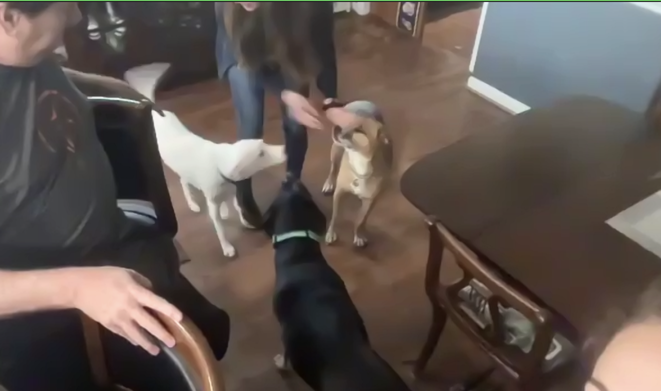 What his behavior is trying to say…