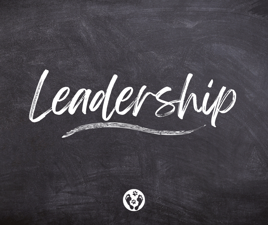Leadership.