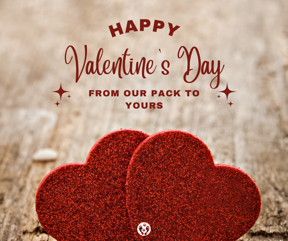 A Valentine’s Day Gift from our Pack to Yours