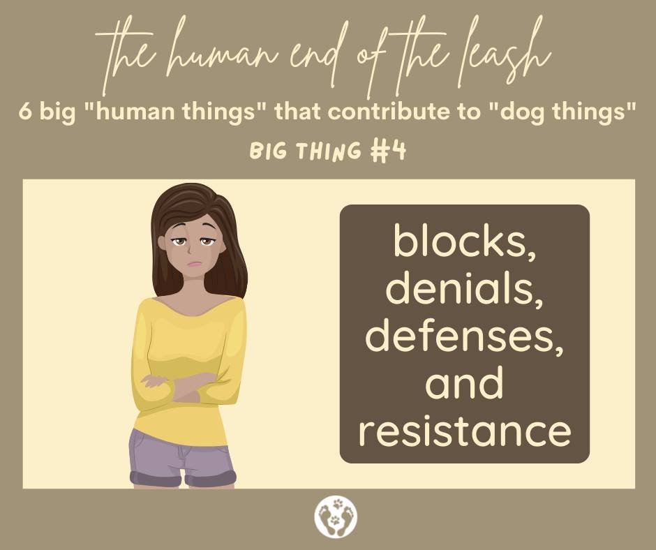 #4 of the 6 Big Human Things that Contribute to the Big Dog Things.