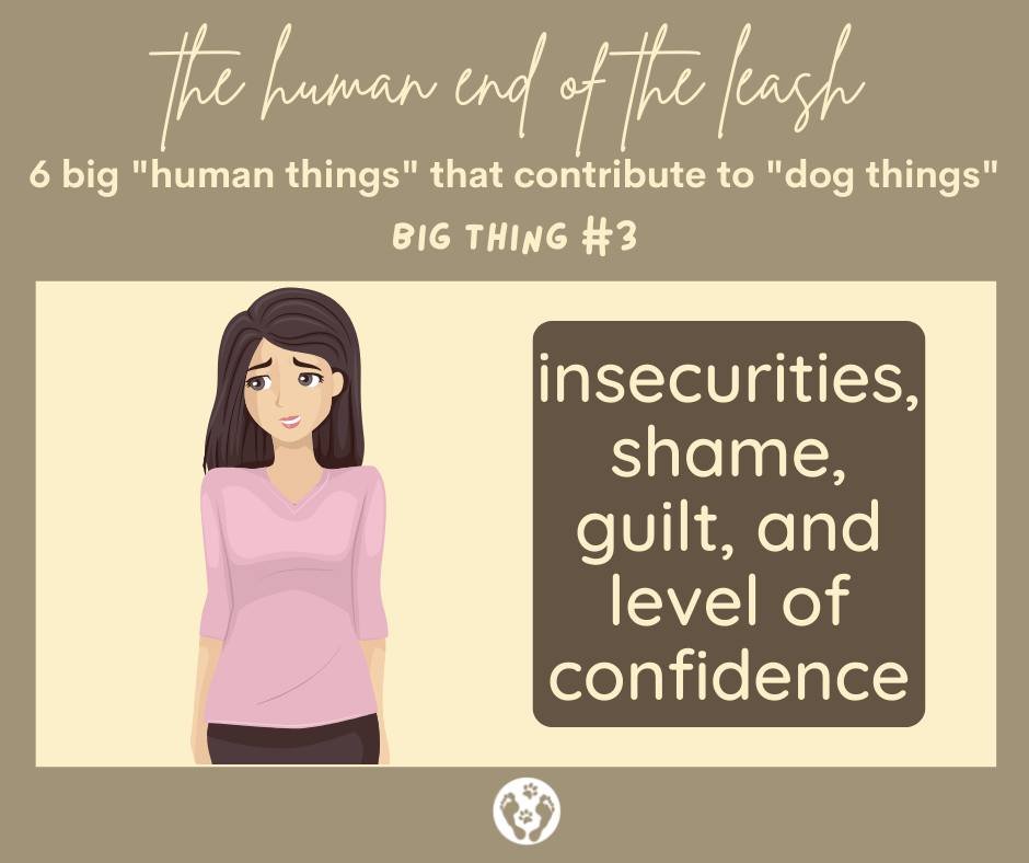 #3 Big Human Thing that Contributes to the Big Dog Things