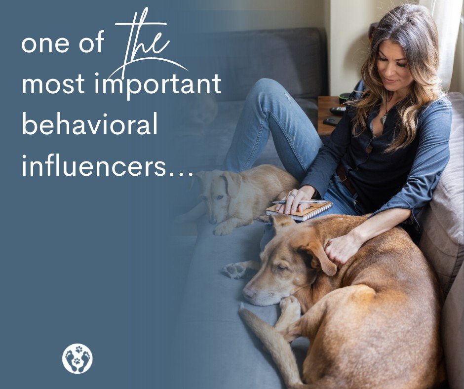 One of *the* most important behavioral influencers.