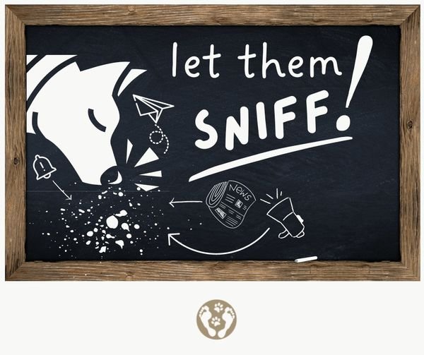Let them Sniff…