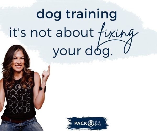Dog training is not about “fixing” your dog.