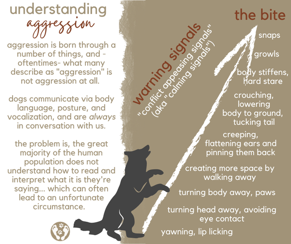 Unpacking “aggression.”