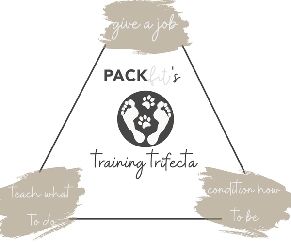 The PackFit Training Trifecta
