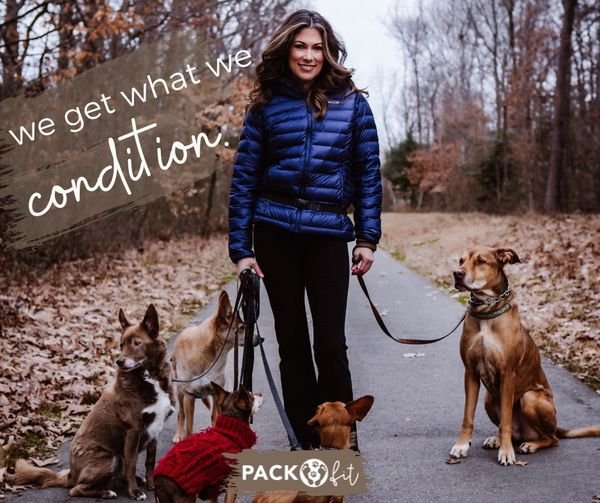 We get what we condition.