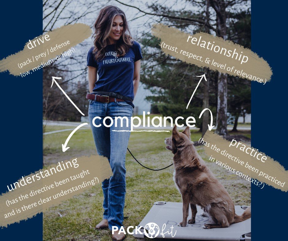 “Compliance” in dog training.
