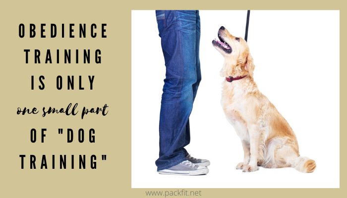 Obedience training is only one small part of dog training!
