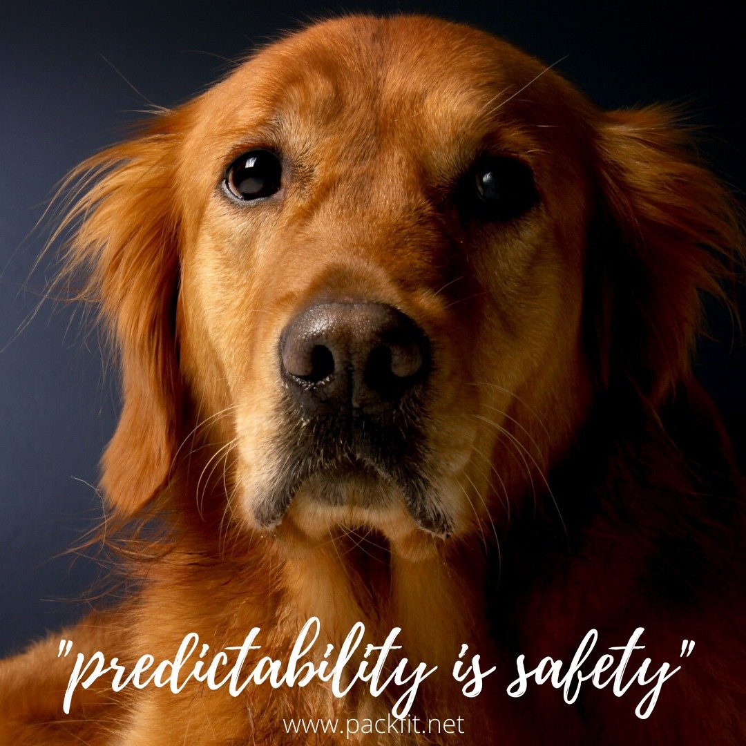 Predictability is safety.