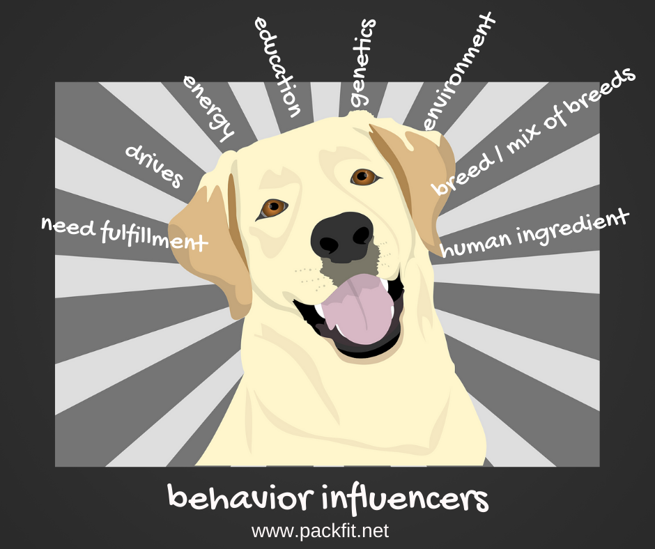 Behavioral Influencers.