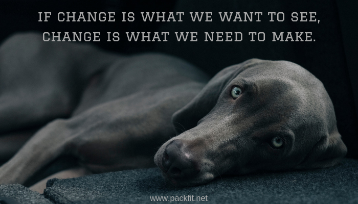 If change is what we want to see, change is what we need to make.