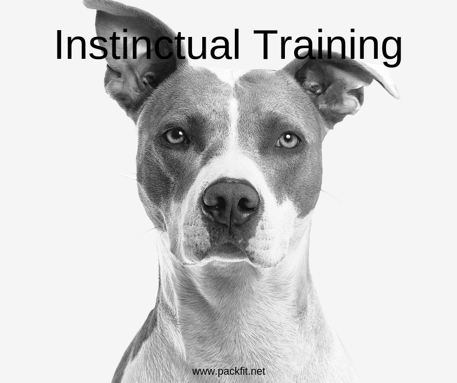 Instinctual Training.