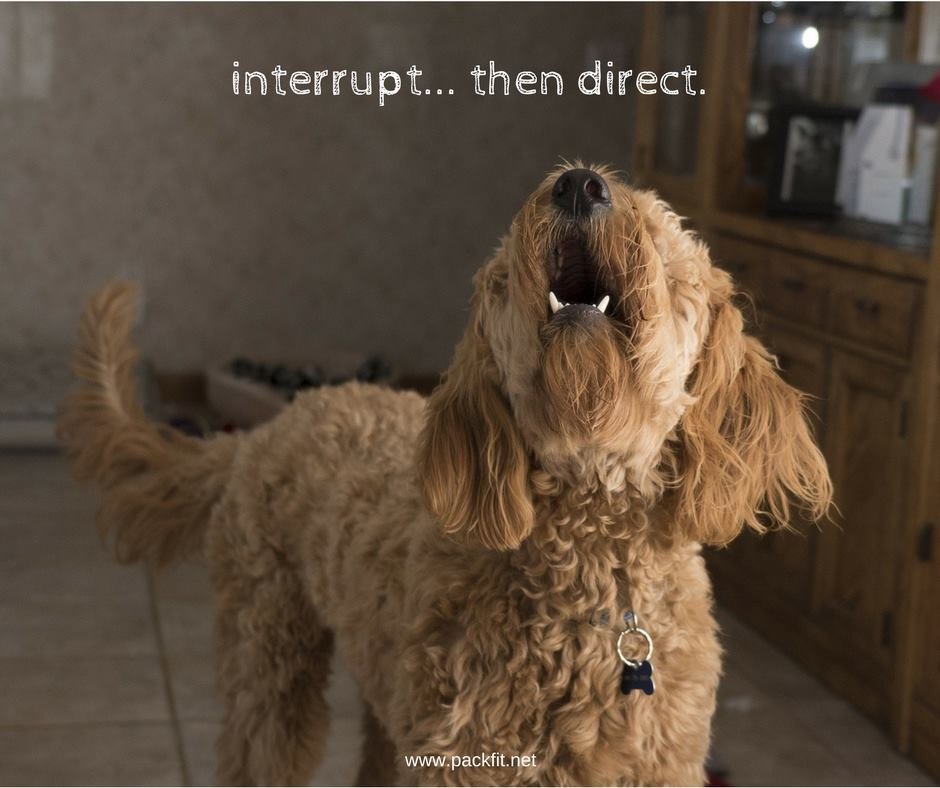 Interrupt…then direct.