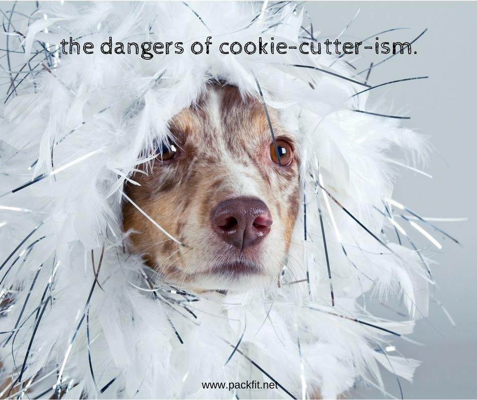 The dangers of “cookie cutter-ism”
